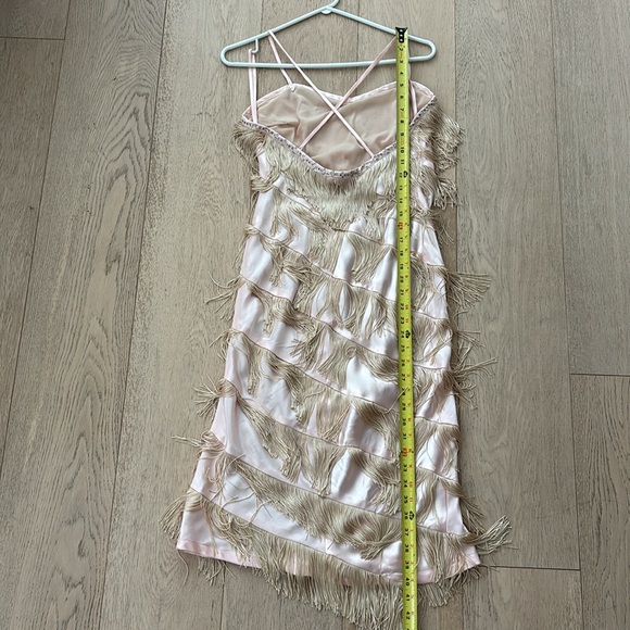 Vintage Fringe Flapper Girl Dress - Picture 10 of 14